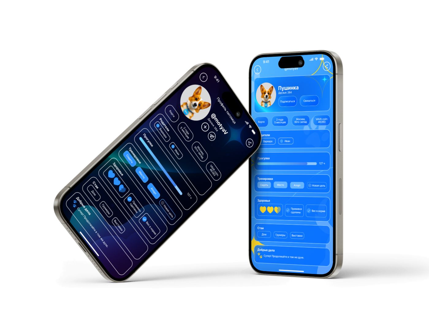 VAVA app screens on device
